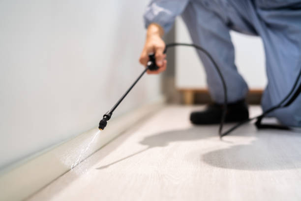 Licensed Mosquito Control service in Hooks, TX - Show Me Pest Control