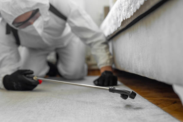 Professional Ant Control technician working in Hooks, TX