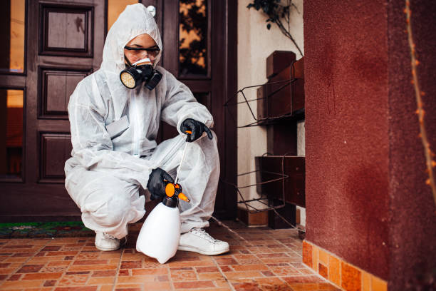 Reliable Mosquito Control contractor in Hooks, TX by Show Me Pest Control